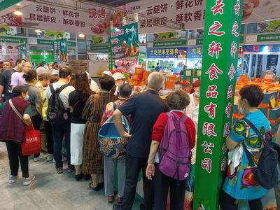 第13屆重慶端午食品博覽會暨粽子文化節盛大開幕，傳承端午文化，品味重慶美食